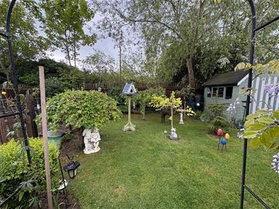 Picture 15